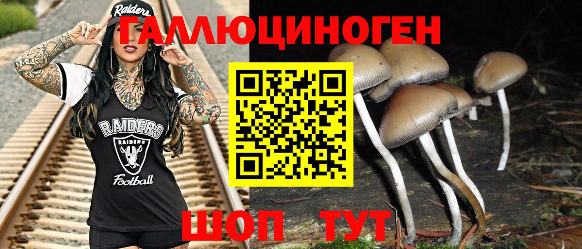 Свободный  Псилоцибиновые грибы Cubensis  Галлюциногенные грибы Cubensis  Вход с VPN 